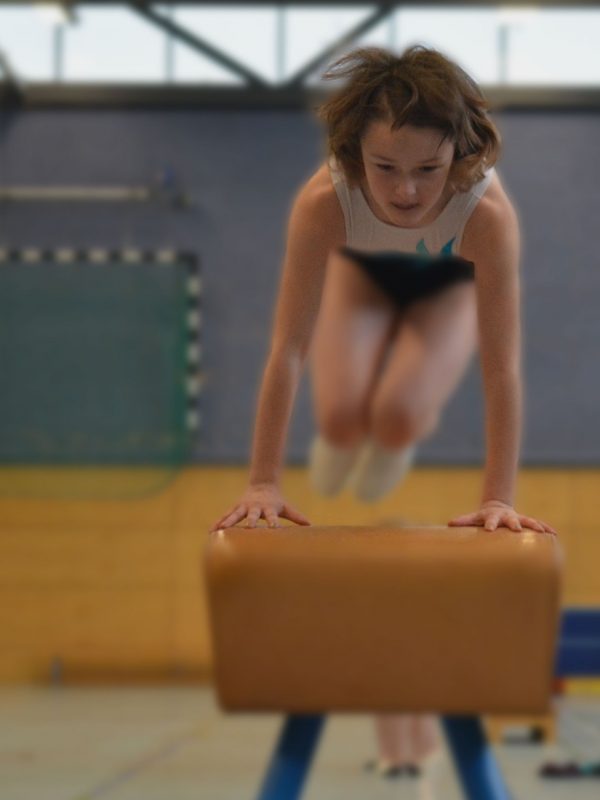 sports, do gymnastics, gym, girl, gymnastics, team, hand, poor, move, exercise, tournament, competition, school sports, students, fun, team spirit, desire, horse, leap, artistic gymnastics, young, athletic, boys, team sports, human, child